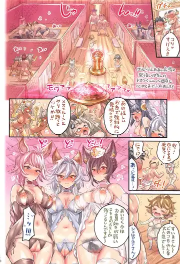 [Mimonel] Grancypher Shoukan Zenpen Fhentai - Page 15