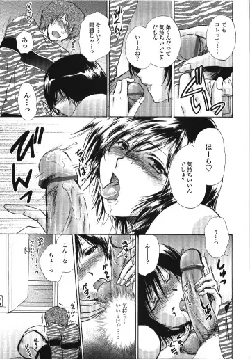 [Shou Akira] Seme Ane Fhentai - Page 12
