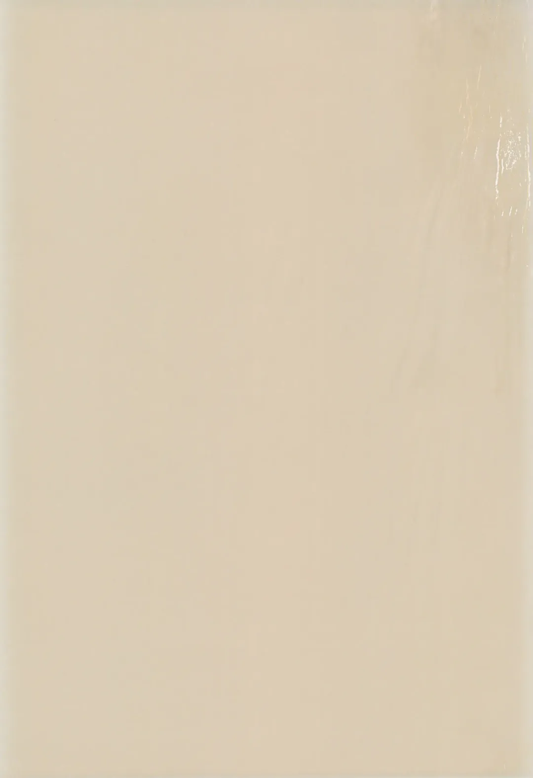 [Efink - R-koga] Sekai de Ichiban Neko Maid Fhentai - Page 3