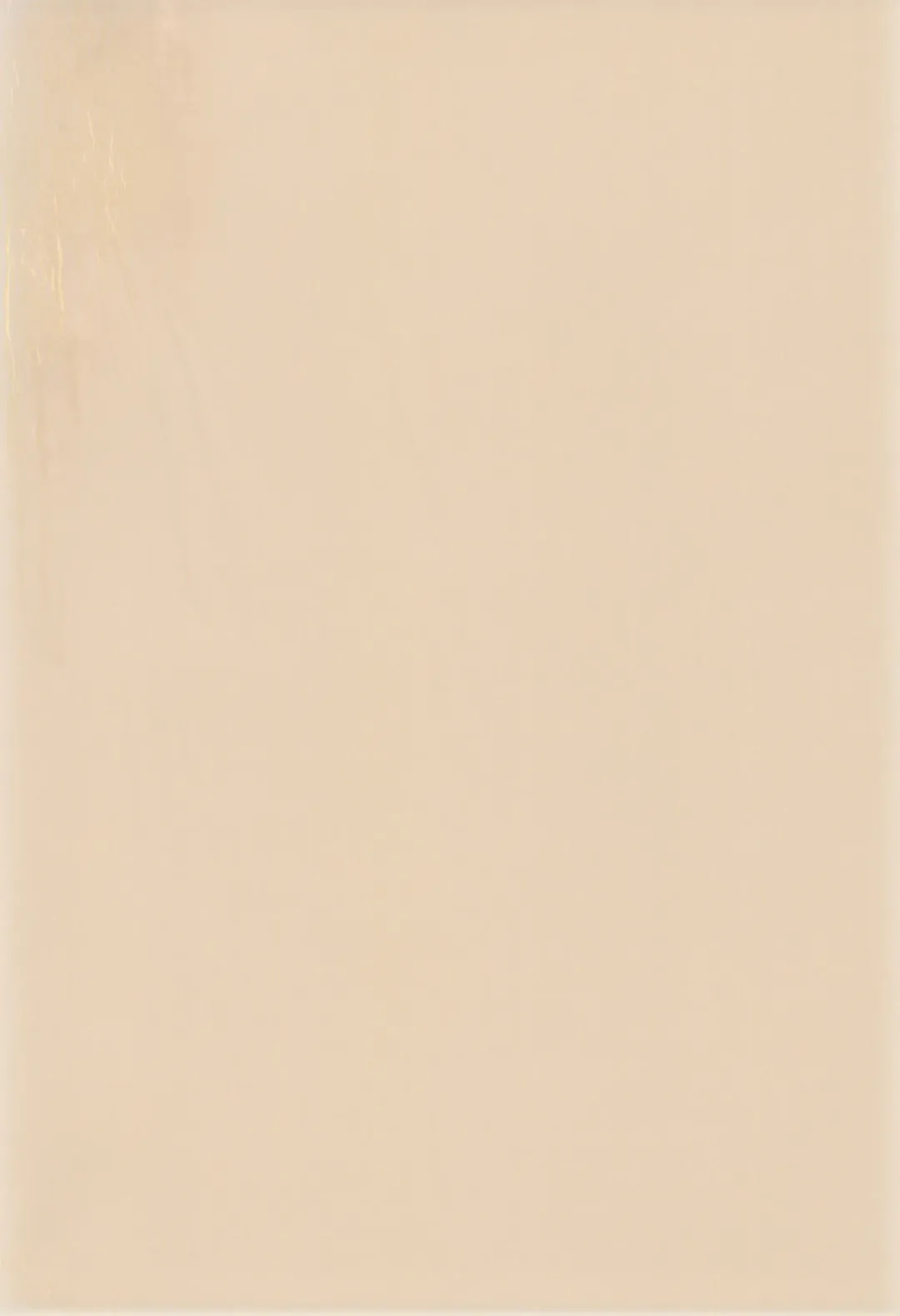 [Efink - R-koga] Sekai de Ichiban Neko Maid Fhentai - Page 4