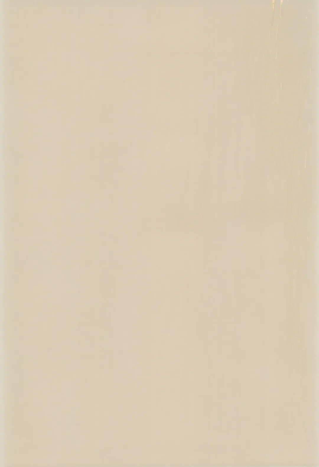 [Efink - R-koga] Sekai de Ichiban Neko Maid Fhentai - Page 41