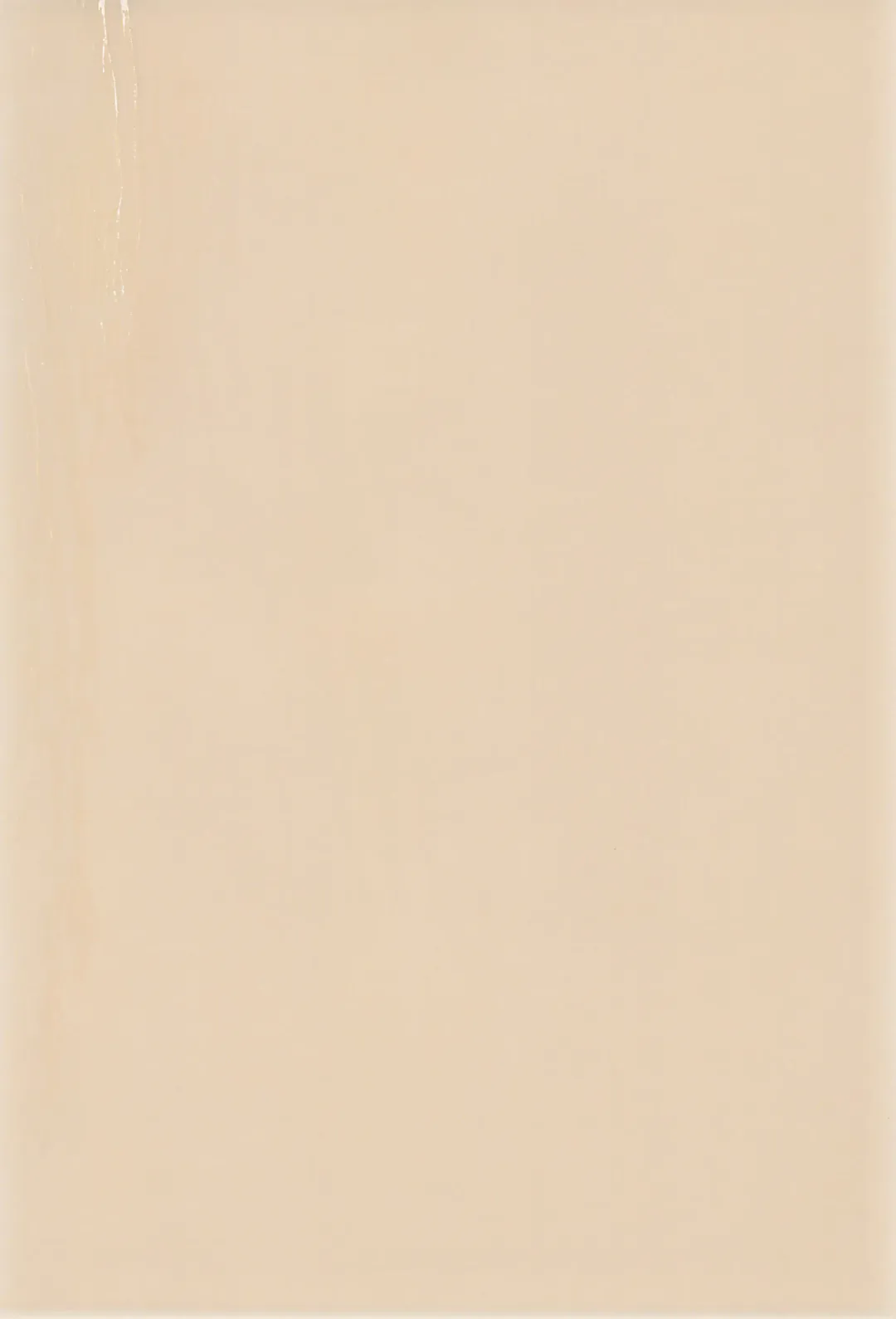 [Efink - R-koga] Sekai de Ichiban Neko Maid Fhentai - Page 42