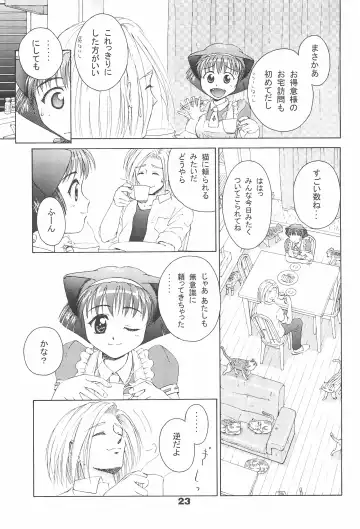 [Efink - R-koga] Sekai de Ichiban Neko Maid Fhentai - Page 25