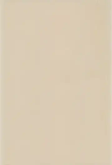 [Efink - R-koga] Sekai de Ichiban Neko Maid Fhentai - Page 41