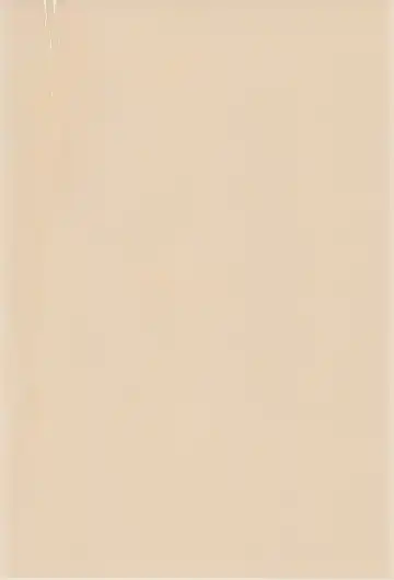 [Efink - R-koga] Sekai de Ichiban Neko Maid Fhentai - Page 42