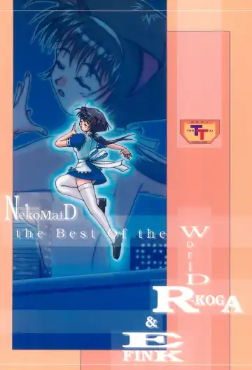 [Efink - R-koga] Sekai de Ichiban Neko Maid Fhentai - Page 44