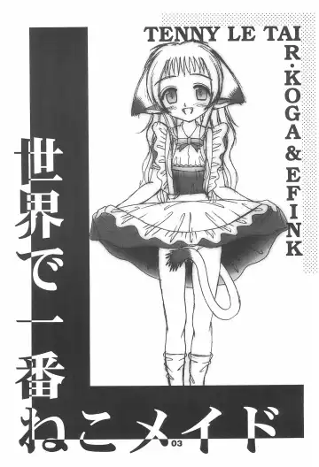 [Efink - R-koga] Sekai de Ichiban Neko Maid Fhentai - Page 5