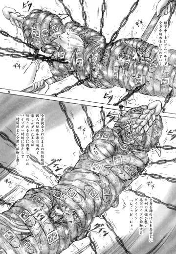 [Sumomo Ex] Shokei Oujo Fhentai - Page 9