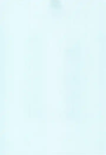 [Hachimaki Kentaro] sun flower 2 Fhentai - Page 3