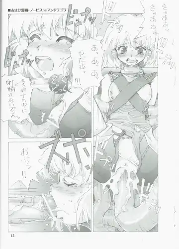 [Tempo Gensui - Tokyo] Tempo Gensui no Rakugakichou ~Ragnarok Online Deluxe Version~ Fhentai - Page 12