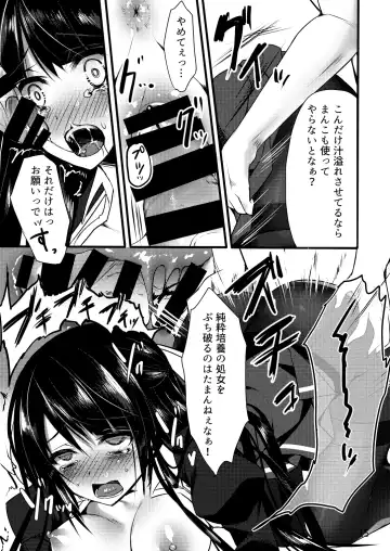 [Sorai Shinya] Shiawase ni Tsutsumareta Ojou-sama no Seikatsu o Buchi Kowasu Hanashi Fhentai - Page 13