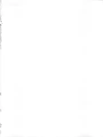 [Mizushiro Takuya] Go!! Far East Fhentai - Page 2