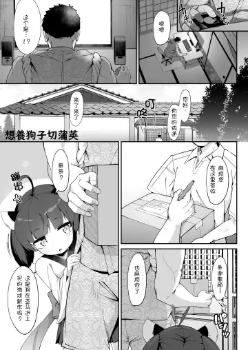 [Jovejun.] Kiritan no Tadashii Shitsuke-kata. | 切蒲英的正确使用方法 Fhentai - Page 4