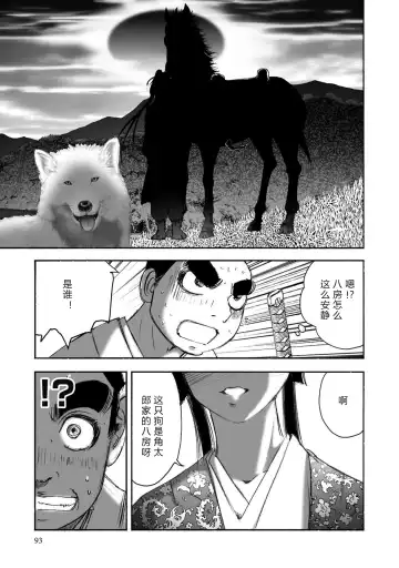 [Yamaguchi Masakazu] 忍法八犬伝1【希月学园汉化组】 Fhentai - Page 95