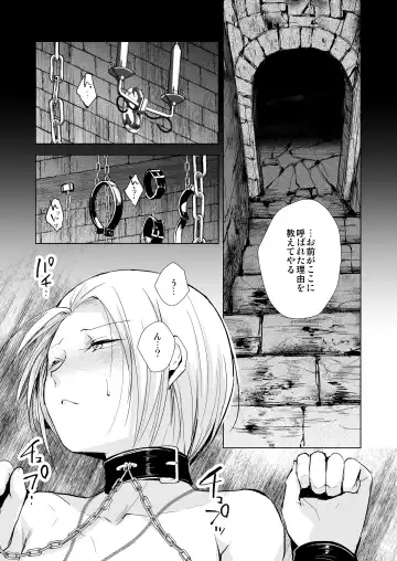 [Locon] Hiiro no Shiro Fhentai - Page 24