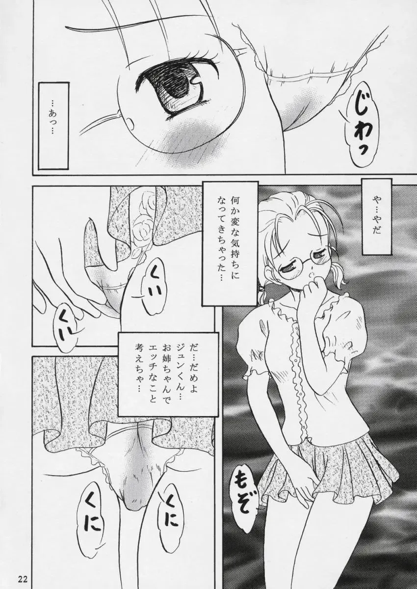 [Nori] Setumei shi te choudai Fhentai - Page 21