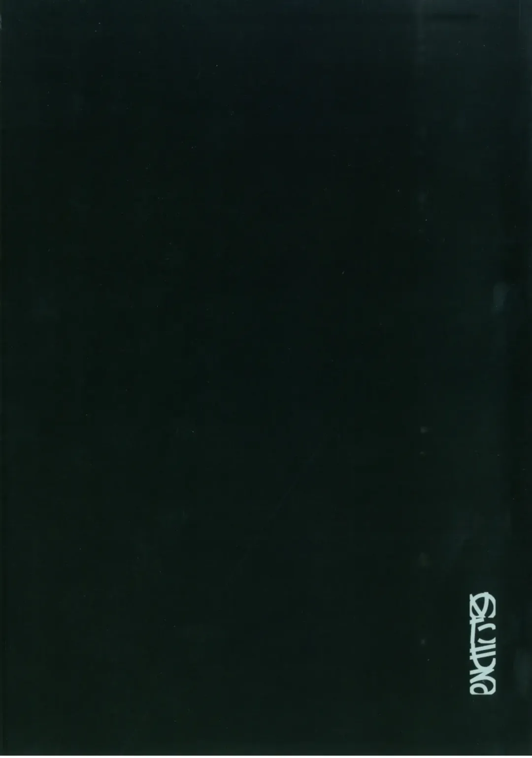 [Ryo] Soushuuhen Omake Manga Fhentai - Page 20