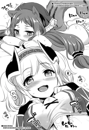 [Sasachinn] Akari no Onee-chan Produce Fhentai - Page 21