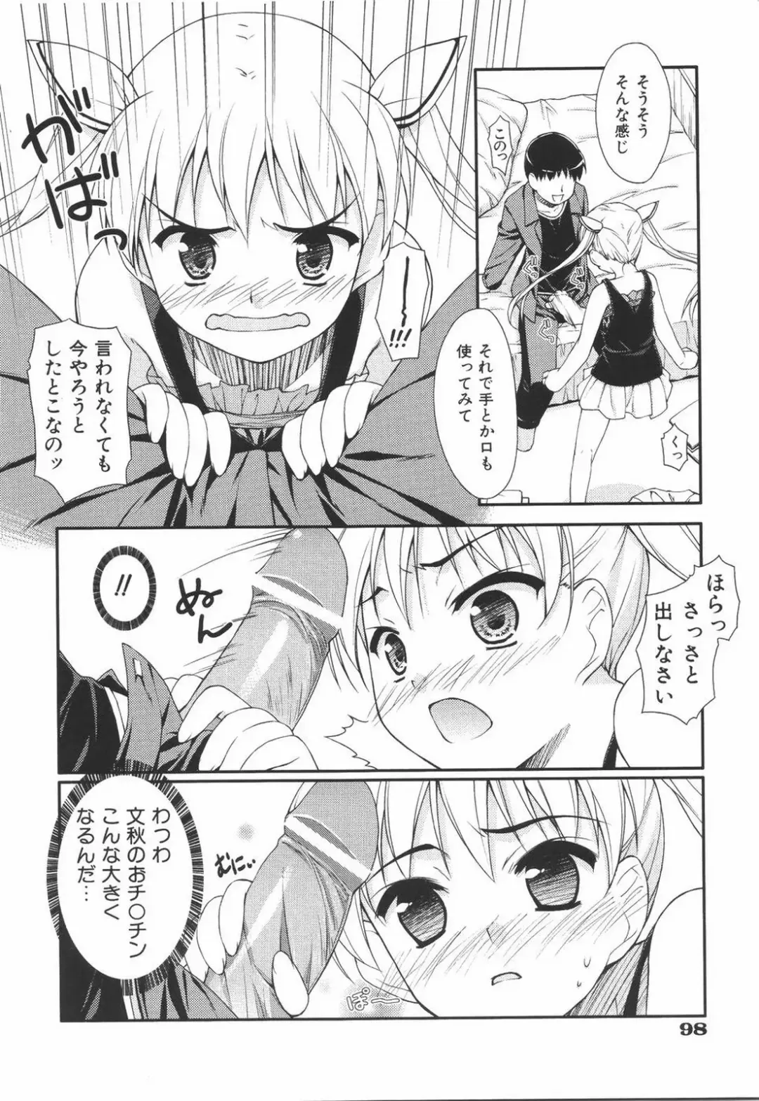 [Hoshizaki Hikaru] I Love H Fhentai - Page 102