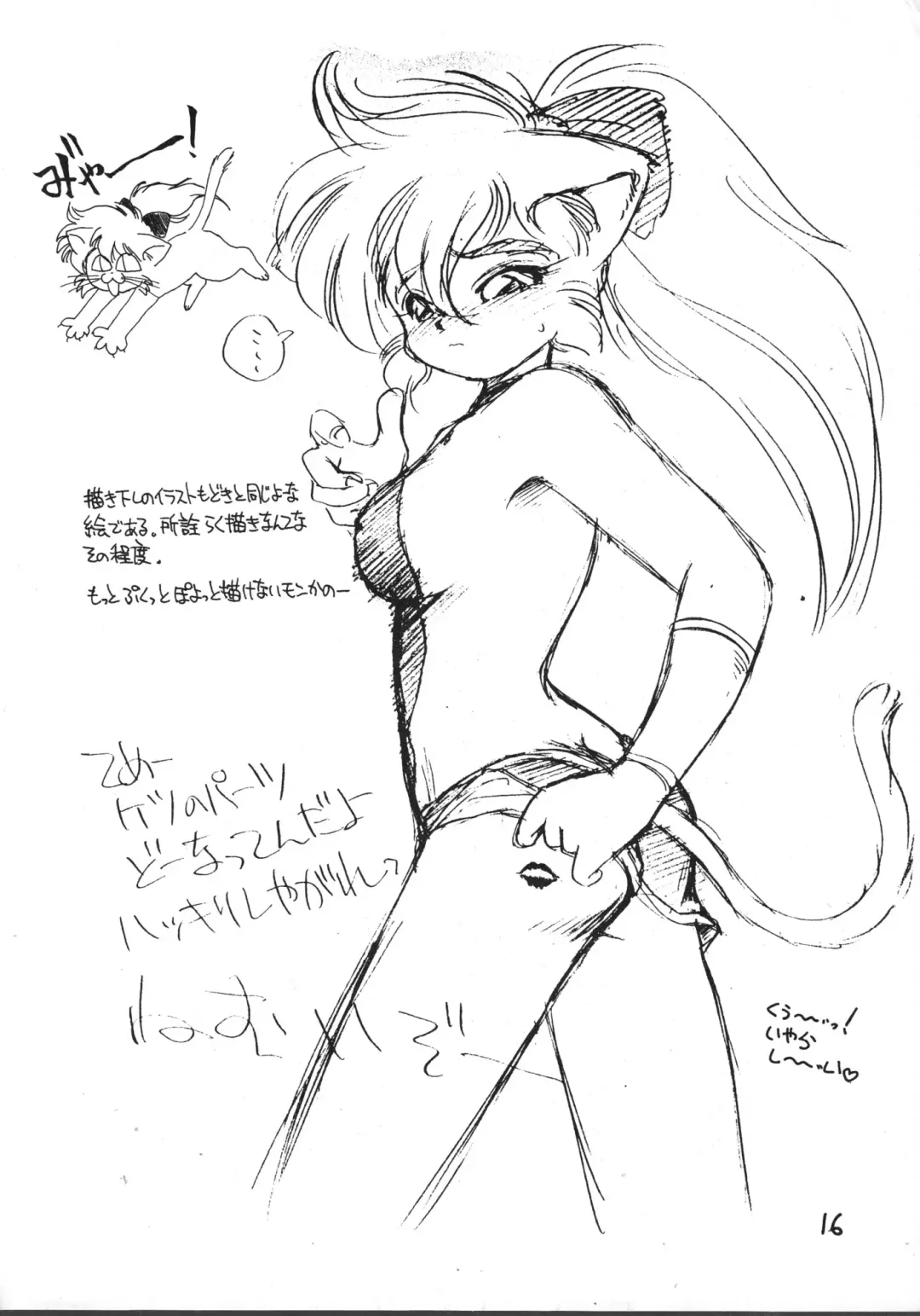 [Ebifly - Neriwasabi - Wing Bird] MIIYA HON NEKO NYAN GORO NYAN! Fhentai - Page 18