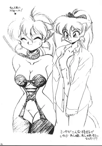 [Ebifly - Neriwasabi - Wing Bird] MIIYA HON NEKO NYAN GORO NYAN! Fhentai - Page 14