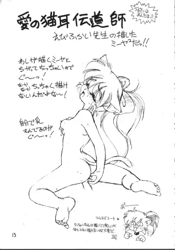 [Ebifly - Neriwasabi - Wing Bird] MIIYA HON NEKO NYAN GORO NYAN! Fhentai - Page 15