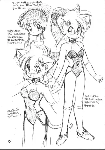 [Ebifly - Neriwasabi - Wing Bird] MIIYA HON NEKO NYAN GORO NYAN! Fhentai - Page 17