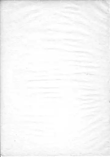 [Ebifly - Neriwasabi - Wing Bird] MIIYA HON NEKO NYAN GORO NYAN! Fhentai - Page 3