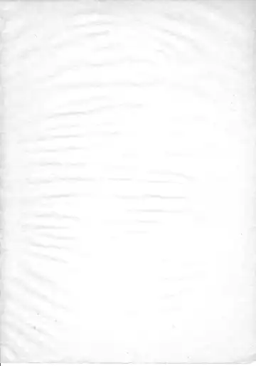 [Ebifly - Neriwasabi - Wing Bird] MIIYA HON NEKO NYAN GORO NYAN! Fhentai - Page 4