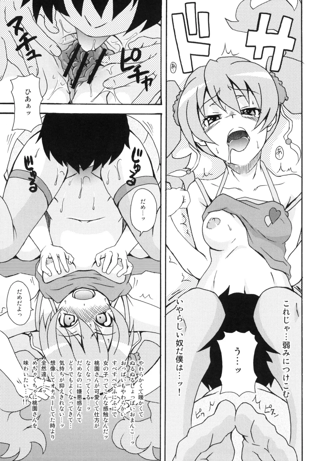 [Shiran Takashi] LOVE PRETTY CURE Fhentai - Page 14
