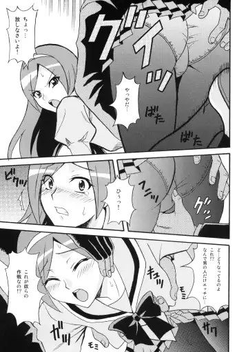 [Shiran Takashi] LOVE PRETTY CURE Fhentai - Page 24
