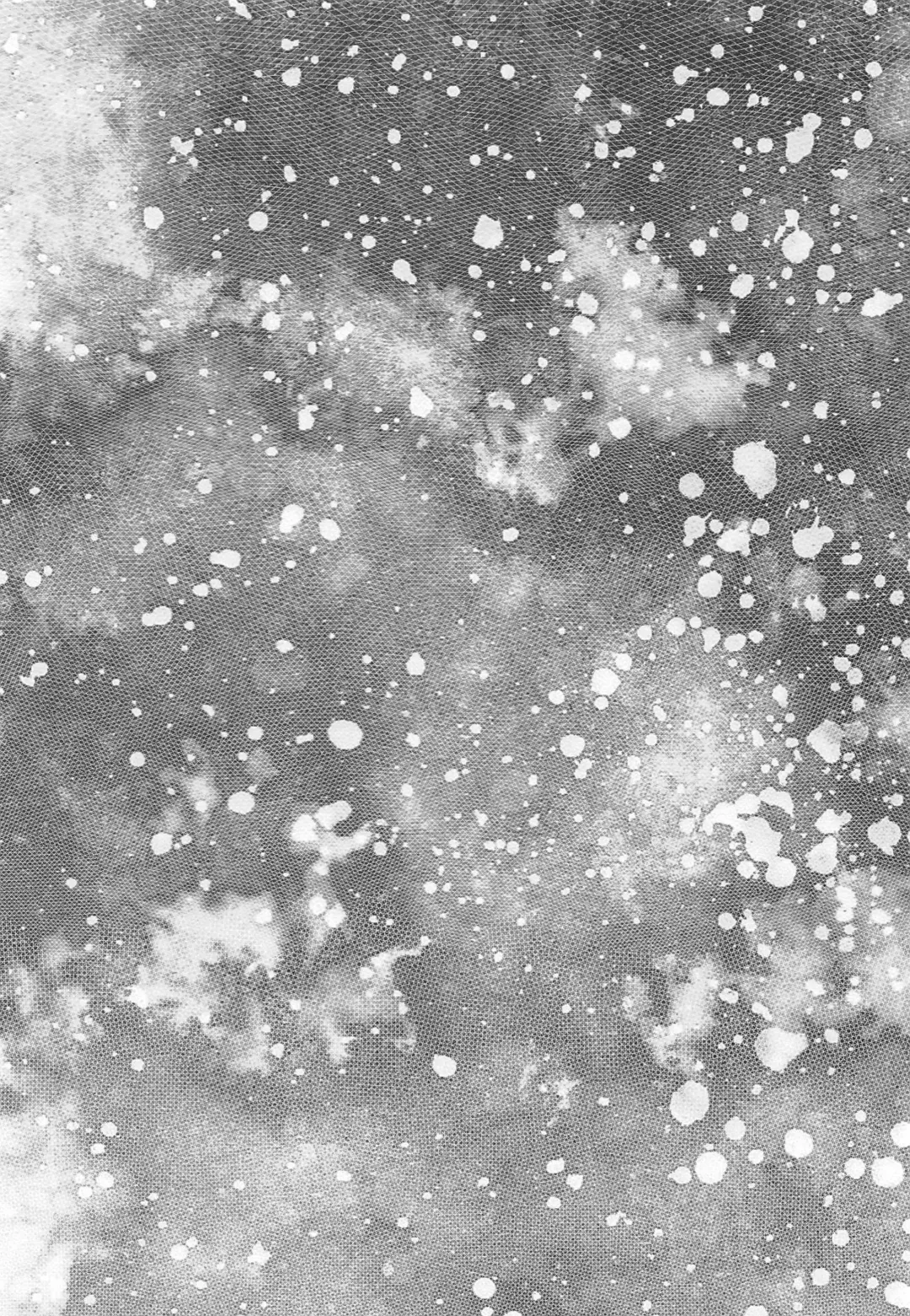 [Shibusawa Toriko - Tomoe] Majutsushi wa Oceanus no Yume o Miru ka Fhentai - Page 3