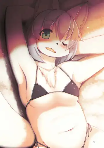 [Sirokoma] Mesukai Illust Matometa Hon Fhentai - Page 8