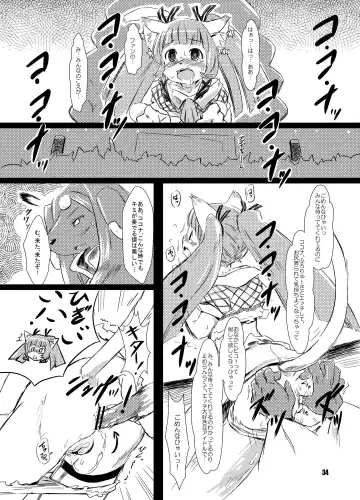 [Matra-mica] Solatorobo no Sabu Kyara-tachi. Fhentai - Page 34