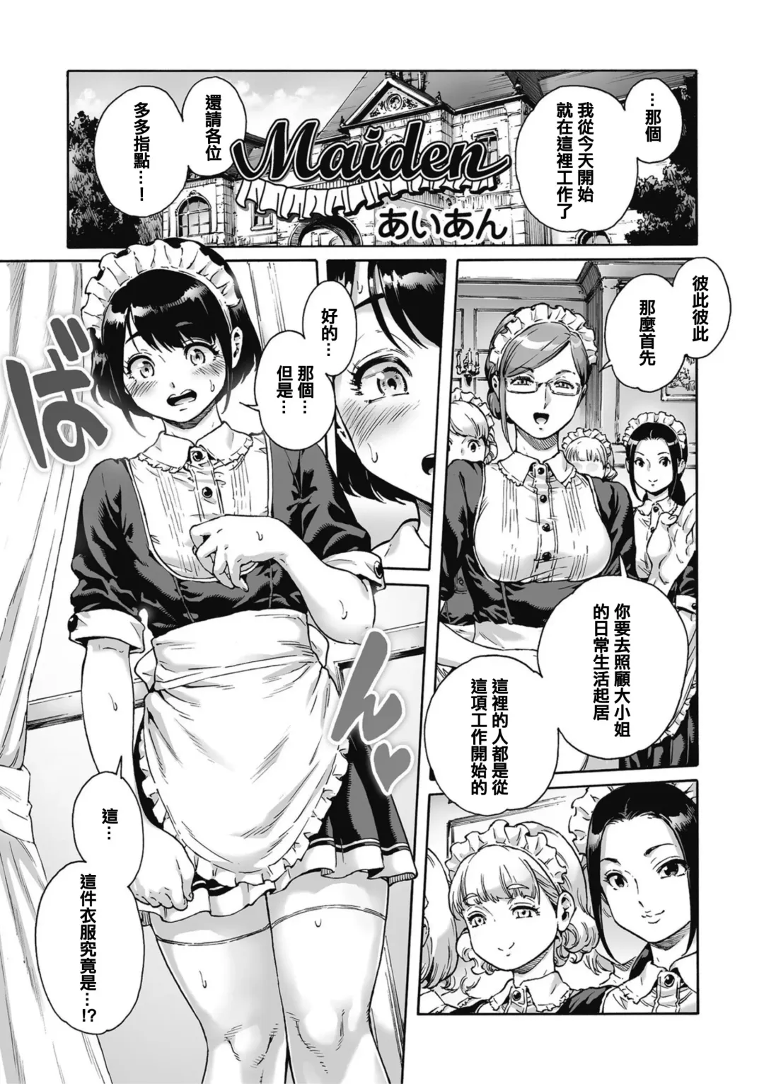 [Aian] Maiden Fhentai - Page 2