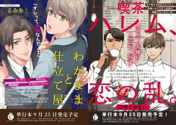 [Tenkawa Ai - Towadako] Aku x Omegaverse BL Fhentai - Page 35