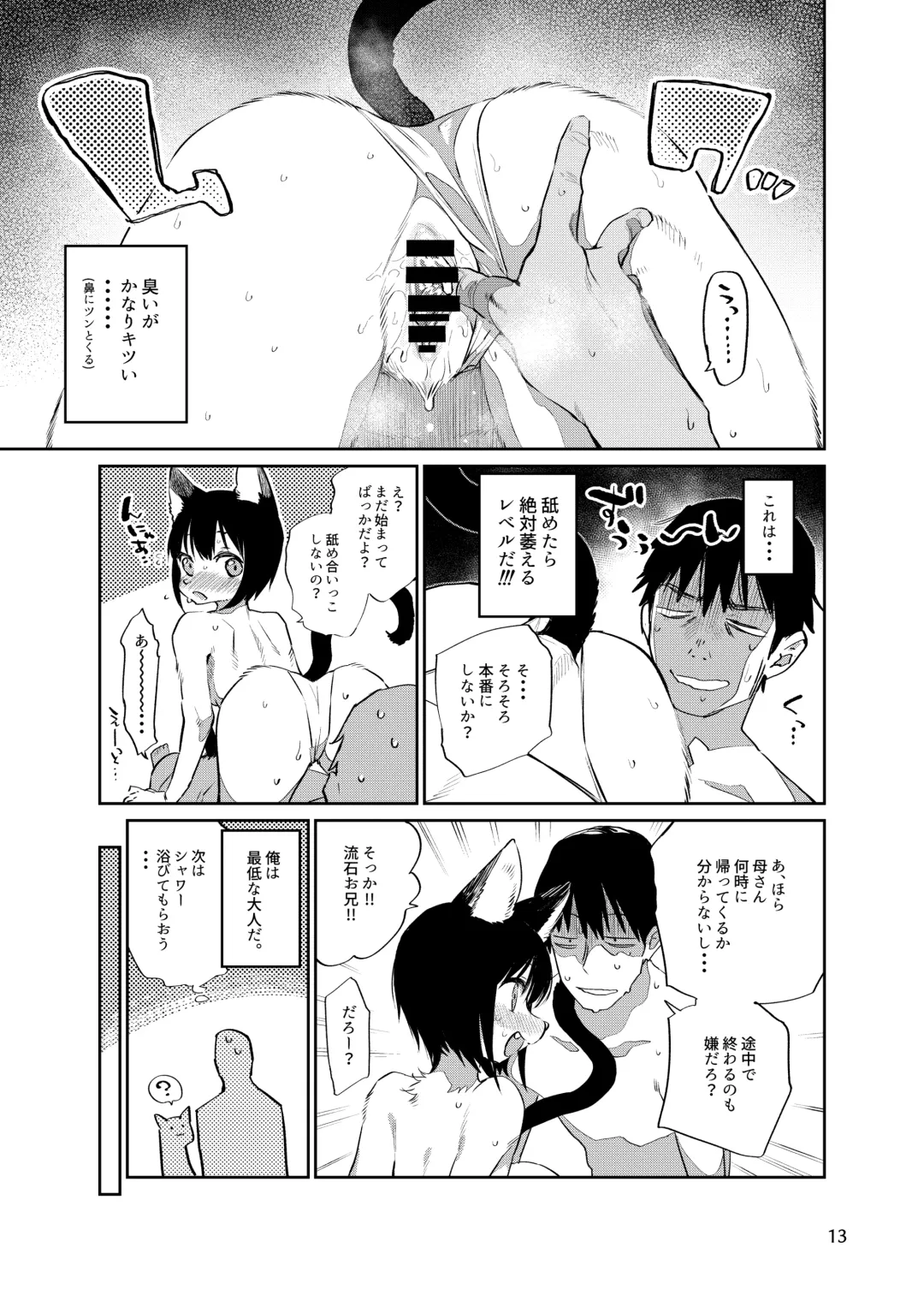 [Mizone] Tokyo Matatabi Ame Fhentai - Page 13