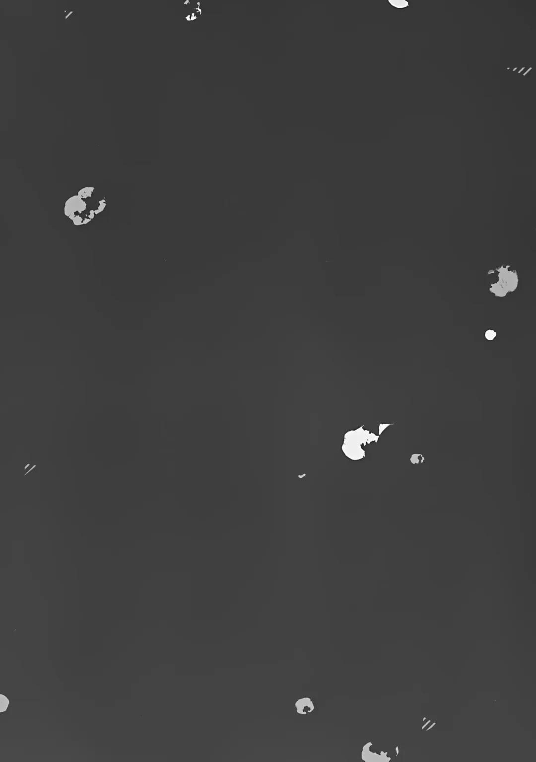 [Amanagi Seiji] Naho-chan Onaho ni Naru Fhentai - Page 4