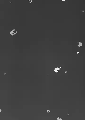 [Amanagi Seiji] Naho-chan Onaho ni Naru Fhentai - Page 4