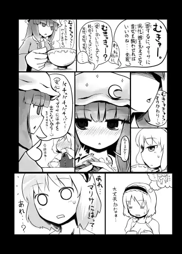 [Radiohead - Yassy] Touhou Ero Atsume. Fhentai - Page 9