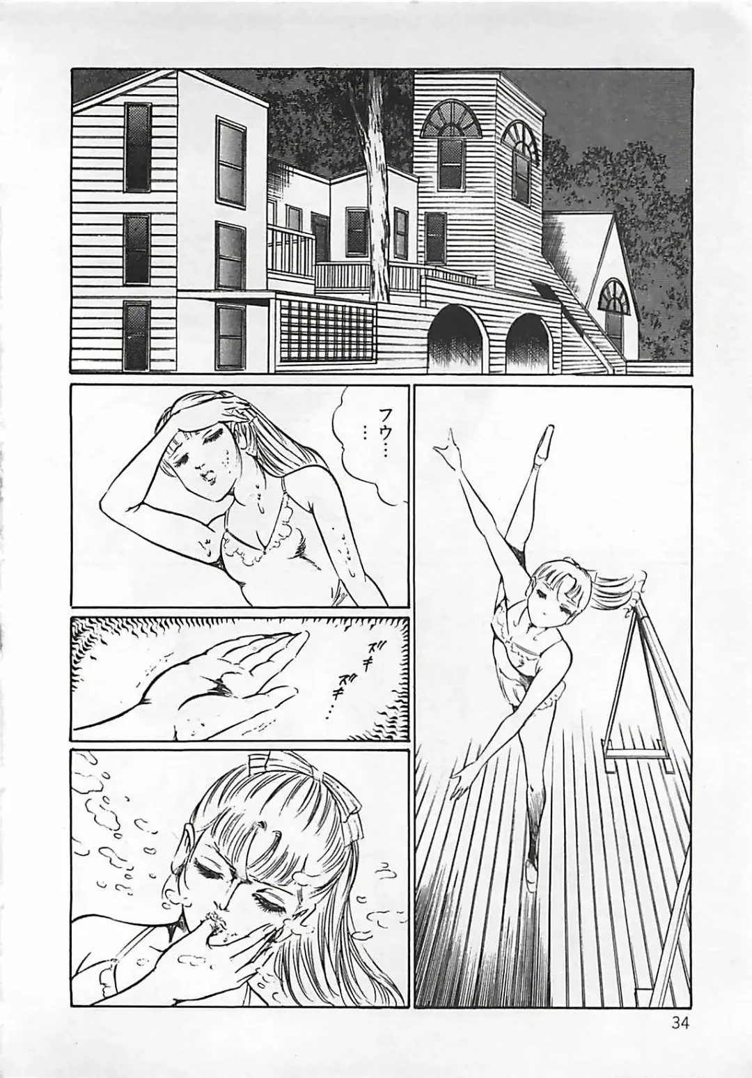 [Dirty Matsumoto] Chi no Butou Fhentai - Page 35