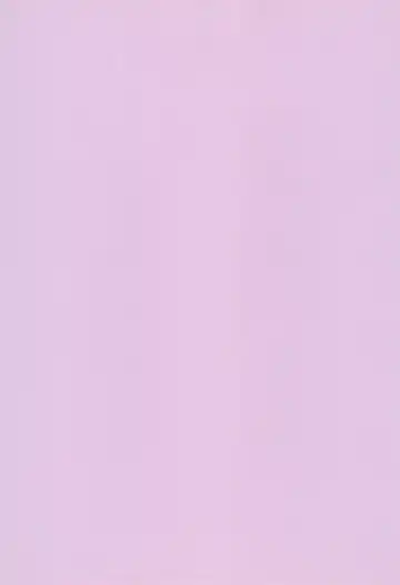 Shojo, Soushitsu shimashita Fhentai - Page 3