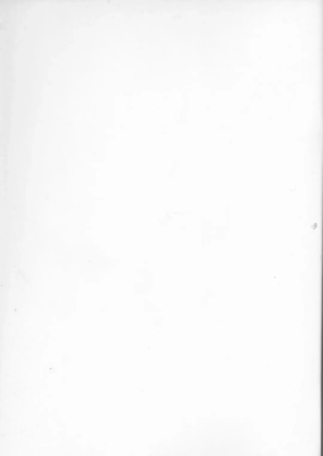 [Goyac] Nekotora -Nekoka no Onee-san wa Suki desu ka?- Fate/Stay Afternoon Fhentai - Page 2