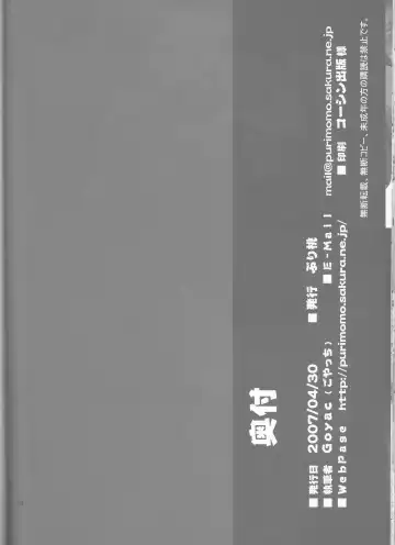 [Goyac] Nekotora -Nekoka no Onee-san wa Suki desu ka?- Fate/Stay Afternoon Fhentai - Page 34