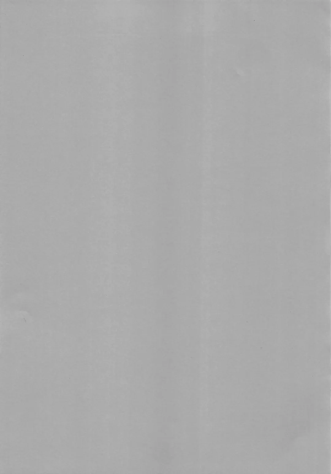 [Namatsui] Shucchou Mahou Shoujo Maid Fhentai - Page 3