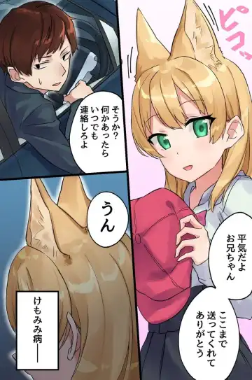 [Shobu] Hatsujou Kemomimi Musume no Kairaku Chiryou ~Chiryou no Tame ni Subete o Ubawareru Musume-tachi~ Fhentai - Page 3