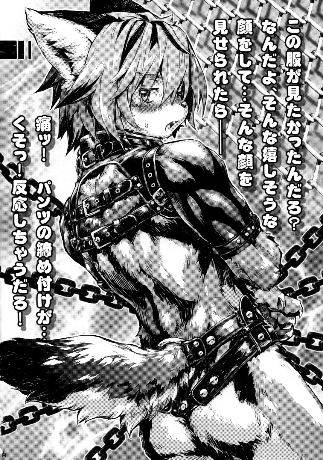 [Ransyou Equals Zero] Kousoku Kemoniisan 5 Fhentai - Page 5