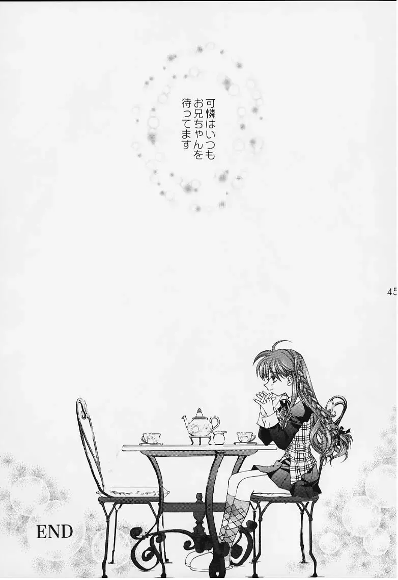 [Nekomi Haruto] 12 cuties Fhentai - Page 43