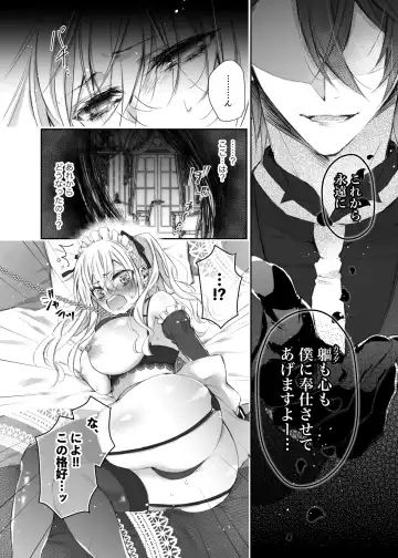 [Yamato Hotaru] Maria xx Maid Fhentai - Page 11