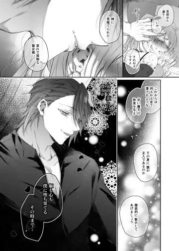 [Yamato Hotaru] Maria xx Maid Fhentai - Page 19